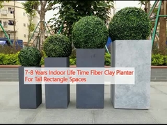 7-8 años Vida útil en interiores Planta de arcilla de fibra para espacios rectangulares altos