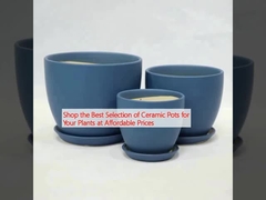 Compre la mejor selección de macetas de cerámica para sus plantas a precios asequibles
