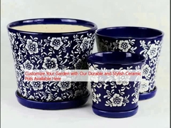 Personalice su jardín con nuestras ollas de cerámica duraderas y elegantes disponibles aquí