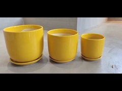 Potes de cerámica duraderos y asequibles para sus necesidades de plantación