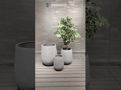 Planta de superficie lisa de fibra de arcilla para opciones de visualización de plantas personalizadas