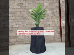Renueva su exhibición de plantas con nuestra colección de plantas de fibra de arcilla duradera