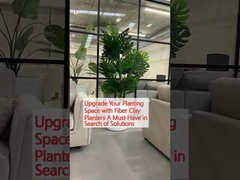 Mejorar su espacio de cultivo con plantadores de arcilla de fibra