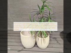 Par de Macetas Chic de Color Beige Claro con Flores: Patrones Verticales Únicos, maceta redonda de fibra de arcilla, ligera, duradera, de bajo mantenimiento, decoración para vacaciones, villa, oficina, proyecto de paisajismo para jardines en azoteas