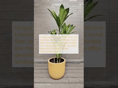 Botes de flores amarillas únicas: Corteza distintiva de melón de la nieve de miel Patrones redondos de plantación de arcilla de fibra ligero duradero de bajo mantenimiento de vacaciones Decoración de oficinas de villas Proyecto de paisajismo de jardines e