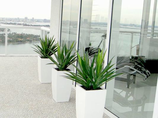 comprar Potes de plantación de flores de fibra de vidrio para interiores y exteriores online manufacture