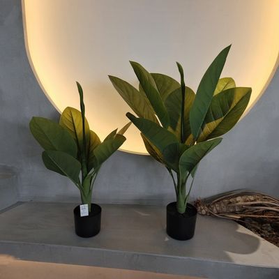 comprar Materiales plásticos de larga duración Plantas artificiales 70 cm Árbol Dieffenbachia artificial online manufacture