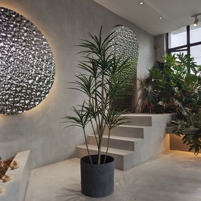 comprar Plantadores redondos de plástico reciclado ligeros para plantar semillas online manufacture