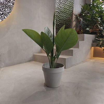 comprar Potes de jardín de plástico ecológicos vibrantes, a prueba de agua 250*175*230MM online manufacture