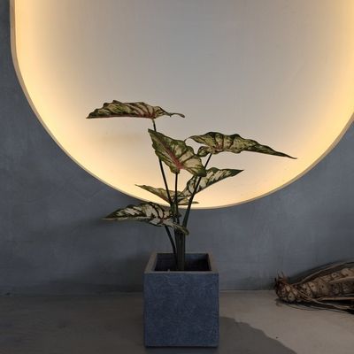 comprar Plantas artificiales de plástico verde de 70-120 cm para decoración interior / exterior online manufacture