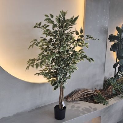 comprar Plantas de plástico hipoalergénico resistentes a los insectos 120cm online manufacture