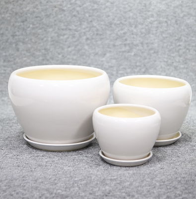 comprar Impresionante exhibición de plantas con nuestras macetas de cerámica a precios asequibles online manufacture