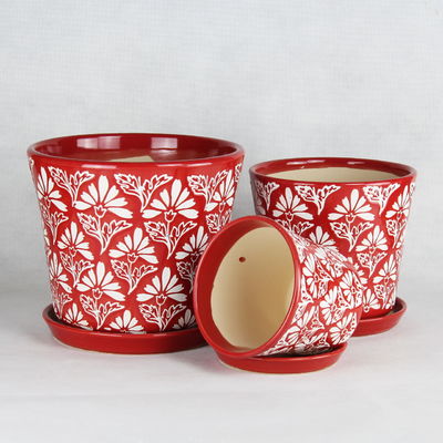 comprar Potes de cerámica únicos para una colección de plantas distintiva y llamativa online manufacture
