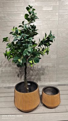 comprar Planta de fibra de arcilla personalizada con 7-8 años de vida útil en interiores Forma redonda online manufacture