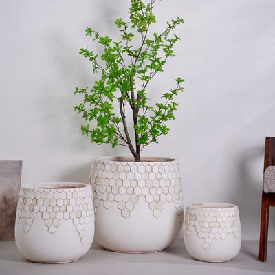 comprar Maceta ecológica pequeña para decoración del hogar con drenaje para plantar en interiores/exteriores Diseño de escritorio/jardín Paquete de cajas para uso diario online manufacture