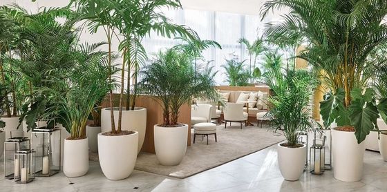 Potes de flores de fibra de vidrio resistentes al agua Potes de plantas de resina FRP para decoración