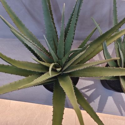 Planta de Aloe de plástico realista para interiores y exteriores Aloe Vera artificial Falsos Decoraciones verdes