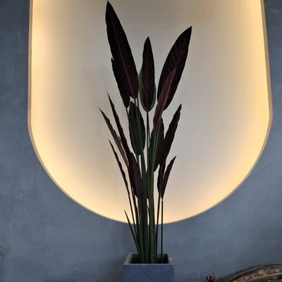 La planta artificial para interiores y exteriores