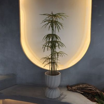 Plantas de plástico resistentes a los rayos UV Plantas artificiales Árbol Graptopetalum