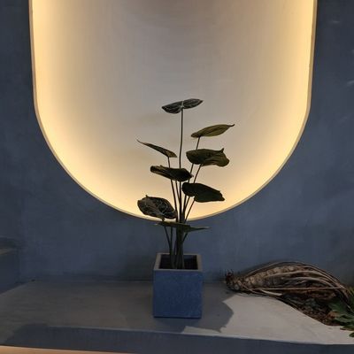 Plantas artificiales de plástico ecológicas realistas Plantas artificiales de interior 90cm