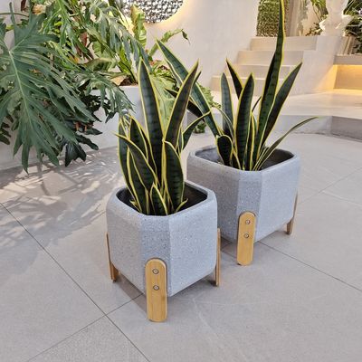 Diseño a medida Planta de fibra de arcilla de estilo moderno con acabado tallado a mano