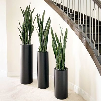 Obtenga las mejores ofertas en macetas de fibra de vidrio duraderas y elegantes para su jardín
