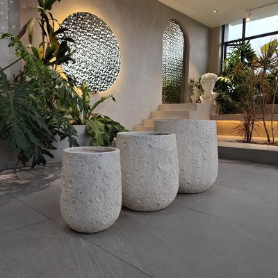 Planta de arcilla reforzada tallada a mano estilo moderno para jardines interiores y exteriores