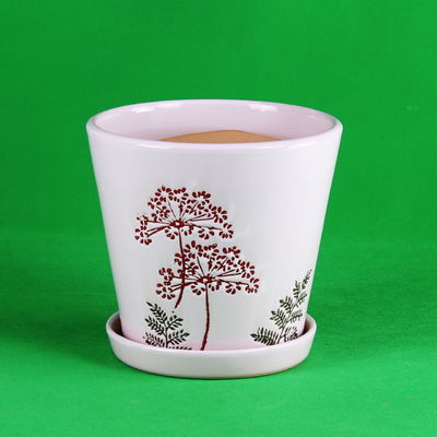 Macetas modernas de cerámica de fácil mantenimiento y diseño sencillo para decorar su hogar