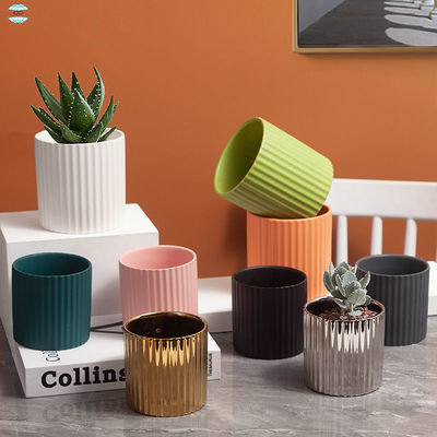 Potes de cerámica personalizables para satisfacer sus necesidades específicas de plantación