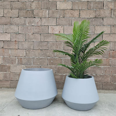 Planta de fibra de arcilla muy bien hecha para su colección de vegetación