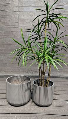 Planta de fibra de arcilla personalizable durante todo el tiempo - Resistente al clima