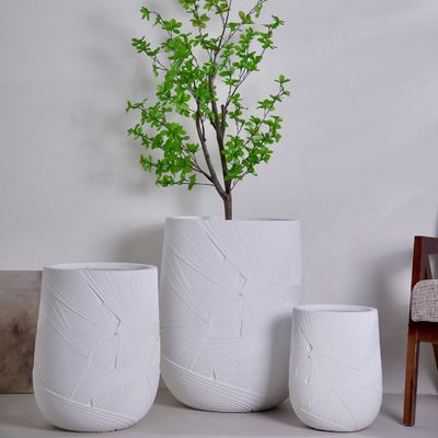 Conjunto de diseño europeo duradero para decoración de plantas verdes